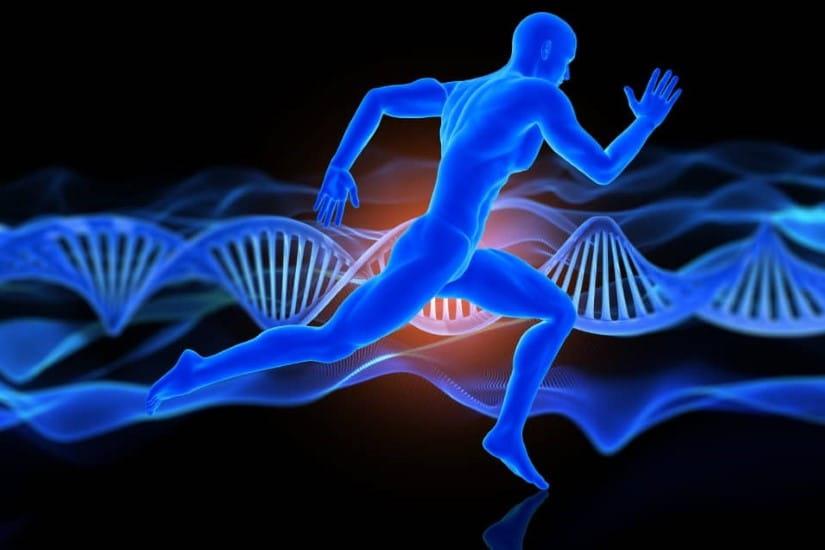 Egzersizin DNA Üzerindeki Potansiyel Düzenleyici Etkileri
