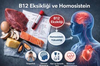 B12 Eksikliği ve Homosistein