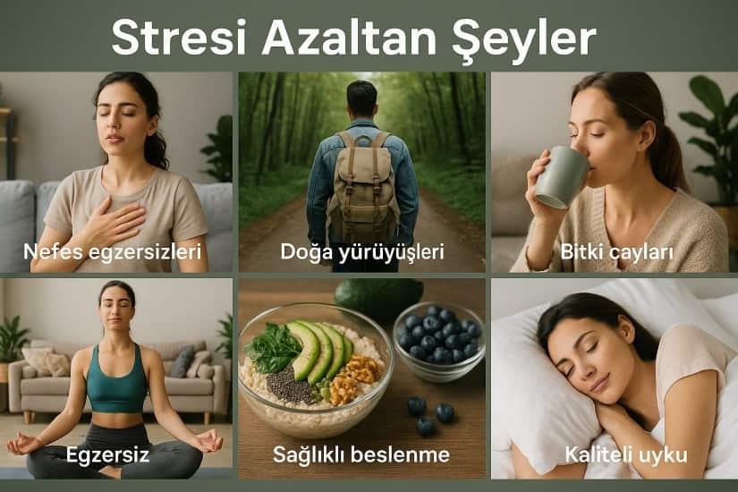 Stresi Azaltan Şeyler