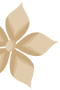 Ayurvedik sol çiçek