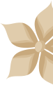 Ayurvedik sağ dal