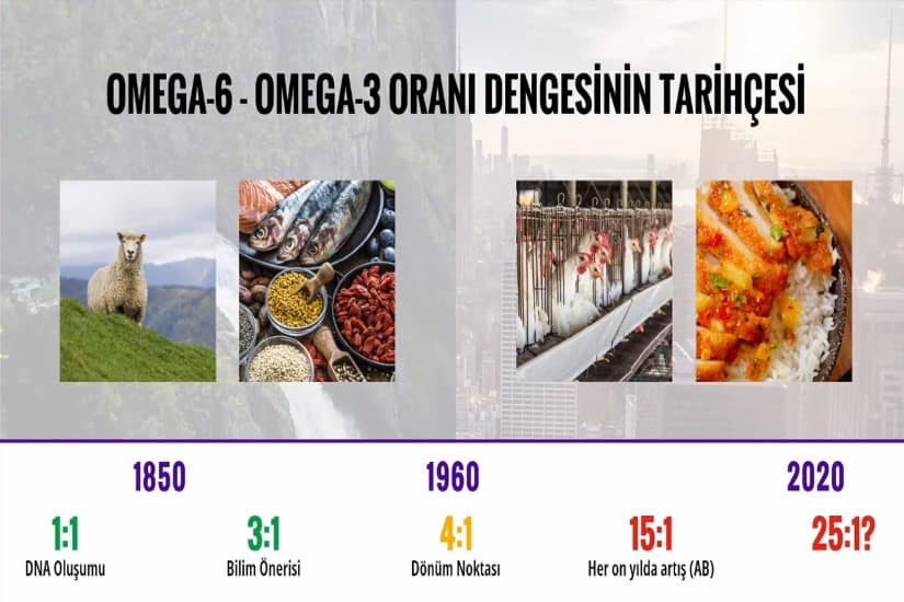 Omega 3 Faydaları
